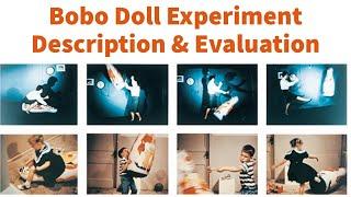 Bobo Doll Experiment