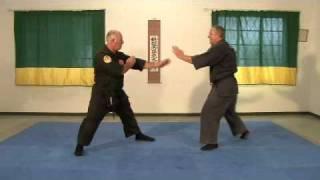 Genbukan Ninpo - South Africa - Tai-Jutsu demonstration