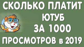 Сколько Платит Ютуб за 1000 Просмотров