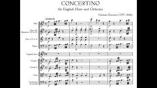 Gaetano Donizetti - Concertino for English Horn and Orchestra