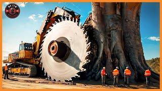 Incredible Fastest Big Chainsaw Cutting Tree Machines Working | Dangerous Stump Grinding Machine