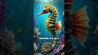 Seahorse Quiz: Male Carrying Young