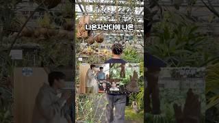 나혼산 식물원 좋을까??  #대형카페 #식물 #여행 #감성맛집 #식물원카페 #식물원 #식물 #나들이