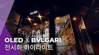 ＜불가리 컬러＞전시회에서 만난 OLED (하이라이트 영상) | OLED X BVLGARI