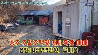 충주주말주택/충주농막/충주개사육장/충주주말농장/충주시신니면 야산아래 주말주말주택및 개 사육장 매매,