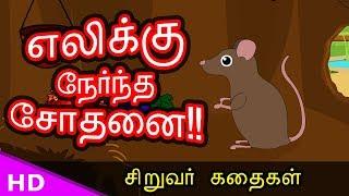 எலிக்கு நேர்ந்த சோதனை Rat life of trial Bed time Story - KidsTv Sirukathaigal