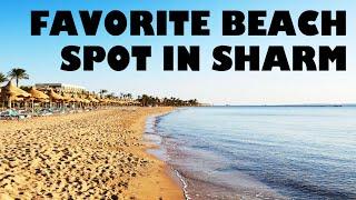 Favorite Beach Spot in Sharm El Sheikh