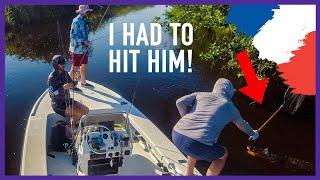 Alligators Trying To Eat Our Fish! - Peacock Bass Fishing Charter