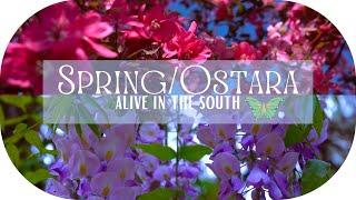 A Sacred Refresh: OSTARA/SPRING