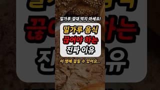 50대 중년 건강 관리(밀가루 끊기 효과)