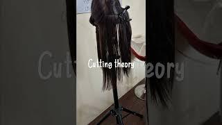 hair cuting class on dummy