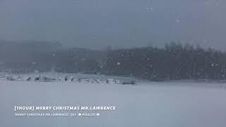 [1hour] Sakamoto Ryuichi - Merry Christmas Mr. Lawrence (Piano cover)