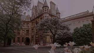you're studying in an ancient academy's library | 𝐚 𝐝𝐚𝐫𝐤 𝐚𝐜𝐚𝐝𝐞𝐦𝐢𝐚 𝐩𝐥𝐚𝐲𝐥𝐢𝐬𝐭