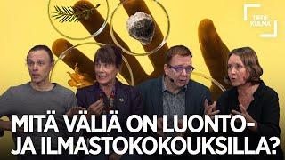 Mitä väliä on luonto- ja ilmastokokouksilla?