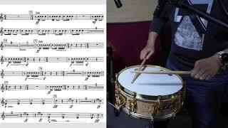 Shostakovich Symphony No.10 Snare Drum Excerpt(Sonor Artist Scandinavian Birch)