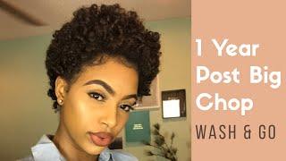 Wash n Go on TWA | 1 Year Post- Big Chop!