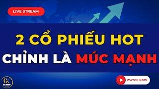  LIVE STREAM (SỐ ĐẶC BIỆT THÁNG 12): 2 CỔ PHIẾU HOT| CHỈNH LÀ PHẢI MUA MẠNH TAY!