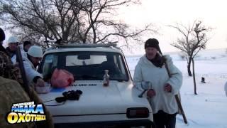 Охота на зайца. Болградский район, Одесской обл.