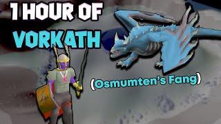 1 Hour of Vorkath Budget Gear (OSRS Vorkath Examples w/ Commentary)