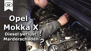 Opel Mokka X Marderschaden | marten damage | Let´s Work | VitjaWolf | Tutorial | HD |