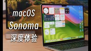 「黑貓」超多好用新功能！macOS Sonoma 使用體驗分享