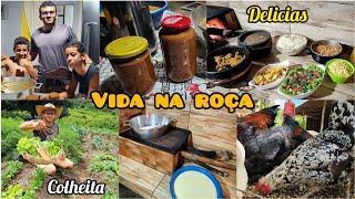 DELÍCIAS DA ROÇA//almoço no FOGÃO A LENHA,COLHEITA e doce de leite caseiro