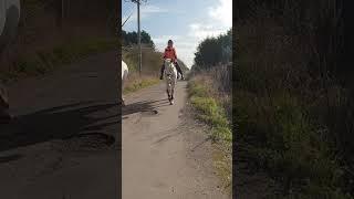 Dirt Bike Horse Encounter - the right way! #crf300l