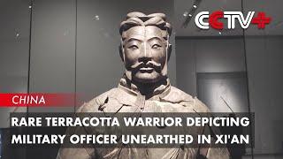 Rare Terracotta Warrior Depicting Military Officer Unearthed in Xi'an