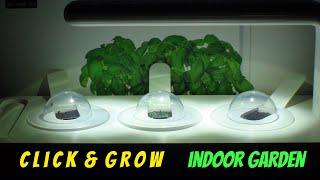 Click and Grow Indoor Smart Garden 3 (Setup, Experiment, Growing Time-lapse)