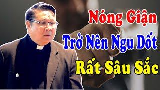 NÓNG GIẬN TRỞ NÊN NGU DỐT -Bài Giảng Rất Sâu Sắc Của Lm Matthew Nguyễn Khắc Hy |Công Giáo Yêu Thương