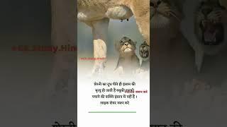 upsc #gk facts#up msp #gk quests #ssc gd #upsc motivation #upsc #youtube shorts #motivation