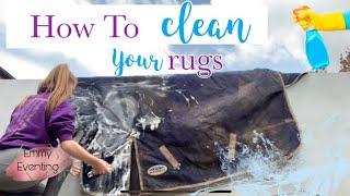 How to Clean Your Rugs | EASY | Emmy Eventing