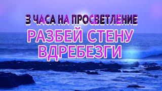 3 ЧАСА НА ПРОСВЕТЛЕНИЕЛУЧШИЙ СПОСОБ МЕТОД ТЕХНИКАNikOsho #просветление #пробуждение #психология