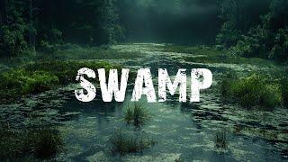 1-Hour Dark Ambient Music - The Mist of the Elderswamp