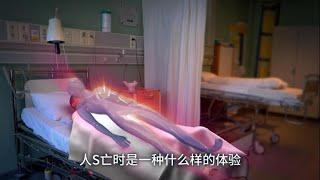 人死亡时是一种什么样的体验？#死亡#疼痛#舒适#灵魂出窍