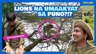 KENYA SAFARI DAY 4: Lake Nakuru's Tree-Climbing Lions and Rhinos • The Poor Traveler Africa