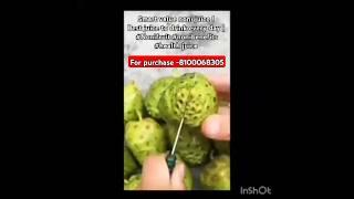 Noni Benefit| kokum plus - Gold - premium Plus smart value (By .Miss Priya Shaw) -8100068305