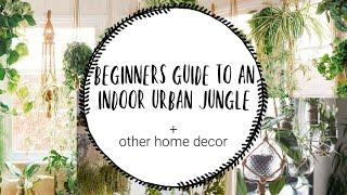 Indoor Urban Jungle for Beginners  | Easy Plants to Keep Alive