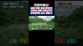 평당3만원대 급매 자연인 산골 주말농장 양봉 농사 #급매 #싼땅 #부동산 #산골 #자연인 #남향 #주말농장 #양봉