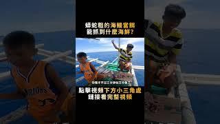 蟒蛇一樣粗的海鰻，撒進魚籠當誘餌，一天能捕到什麽海鮮？#shorts