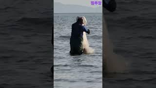 서해바다로 짬투망가요 #바다투망#Shorts #멋진인생#바다다큐 #바다새#인천