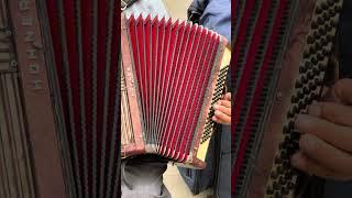 How to play Piano Accordion -  [The Basics]