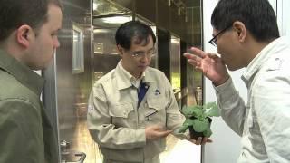 World's Best Seeds by Takii #1 / タキイ　逞しいタネ　第１回