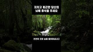 1분 뇌휴식 | 지치고 피곤한 당신의 뇌에 휴식을 주는 시간  #shorts