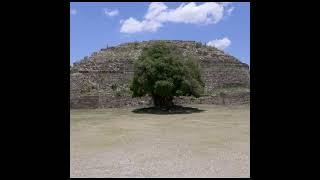 Monte Albán maravillosa #cultura #curiosidadeshistoricas #historiaantigua #patrimoniocultural