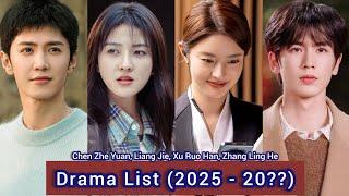 Chen Zhe Yuan, Liang Jie, Xu Ruo Han, Zhang Ling He | Drama List (2025 - 20??) |