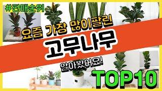 고무나무 추천 판매순위 Top10 || 가격 평점 후기 비교0 고무나무 동영상