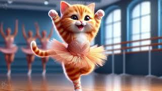 The Sad Kitten Was Bullied at Dance School #cat #cutecat (keep your dreams alive)