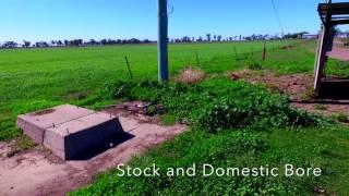 Irrigation Property, Dalby - Auction - 11th October 2016