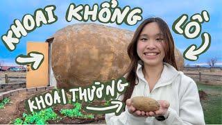 24H SỐNG TRONG CỦ KHOAI TÂY KHỔNG LỒ Ở MỸ 